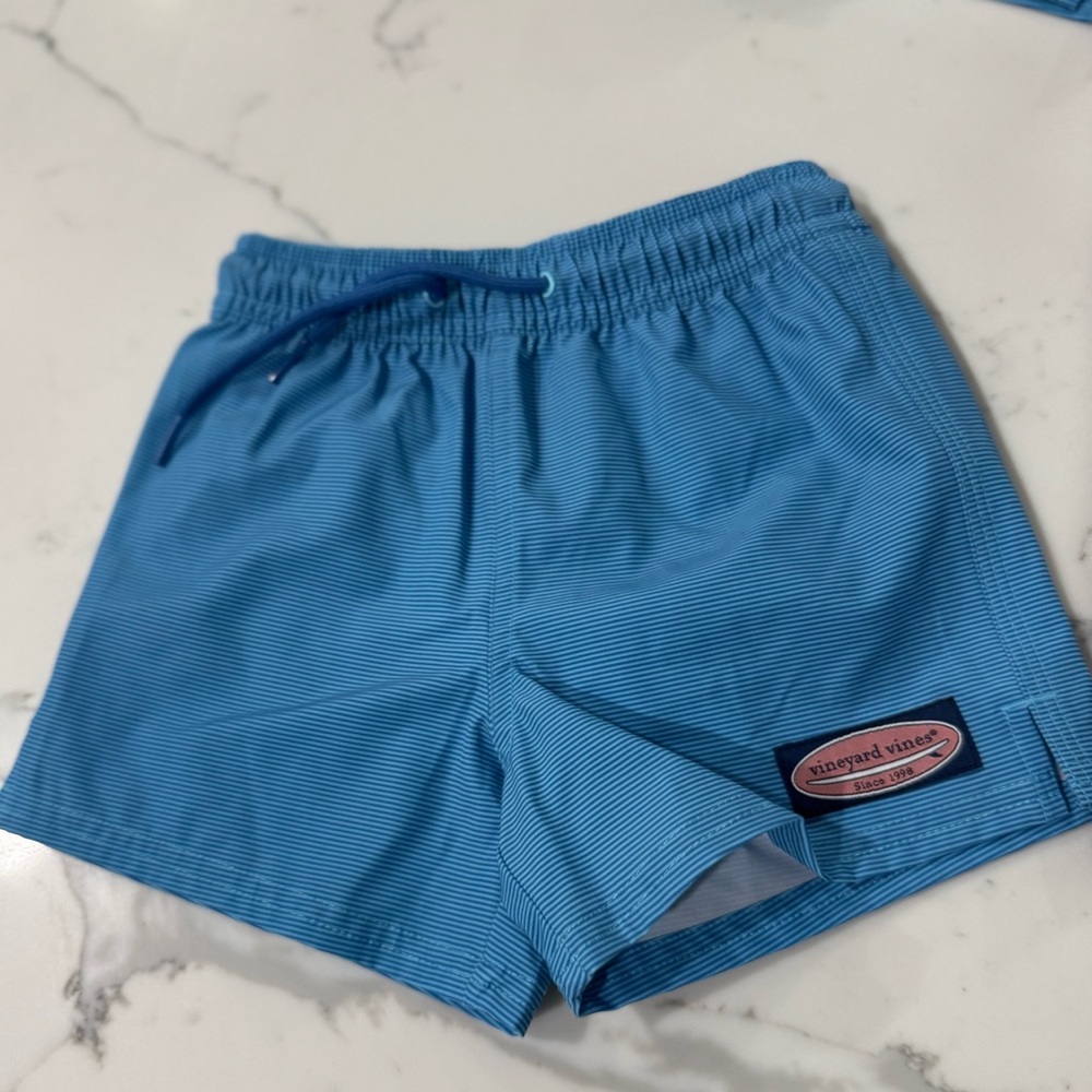 Vineyard Vines Striped Blue Trunks